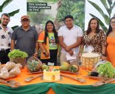 1ª Conferência Municipal de Segurança Alimentar e Nutricional em Tracuateua